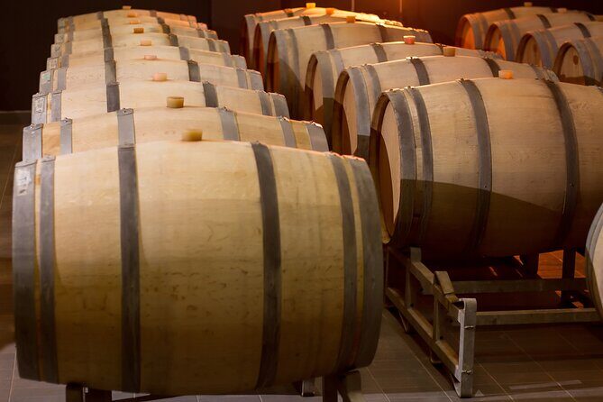 Private Wine Tasting Activity at Lipovac Winery - The Sum Up: A Real Montenegrin Treasure