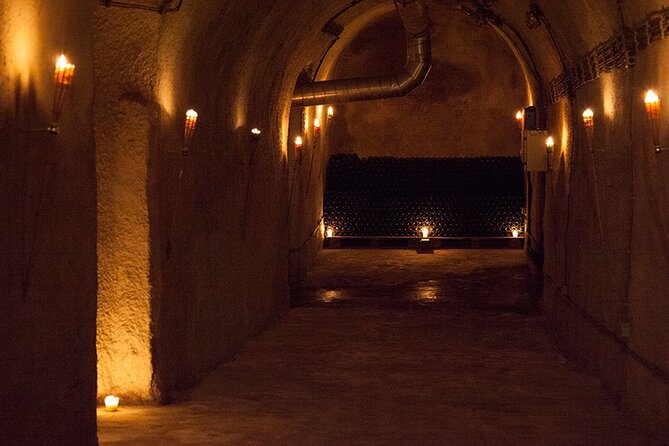 Private Wine Tasting by Party in Belgrade - Charcuterie Plate Highlights