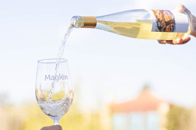 Private Wine Tasting Experience in Maglén - Why This Experience Stands Out