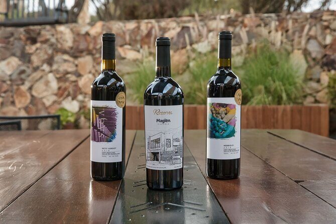 Private Wine Tasting Experience in Maglén - The Sum Up