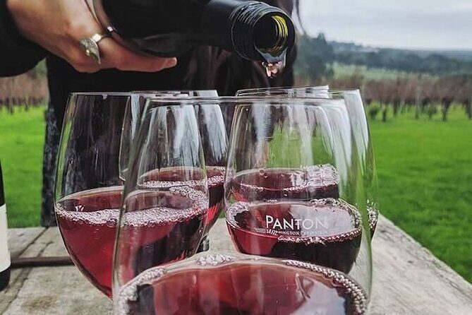 Private Wine Tasting Tour in Mornington Peninsula with Lunch - An In-Depth Look at the Tour