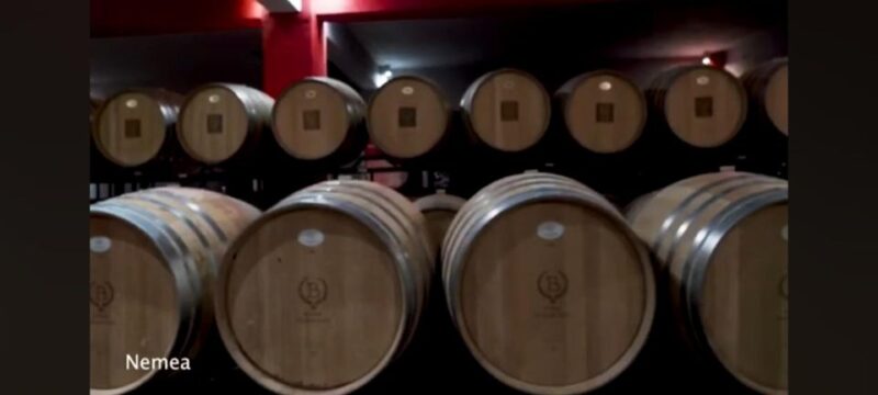 Private Wine Tasting Tour of Corinth With a Pickup - Wine Tasting Experience