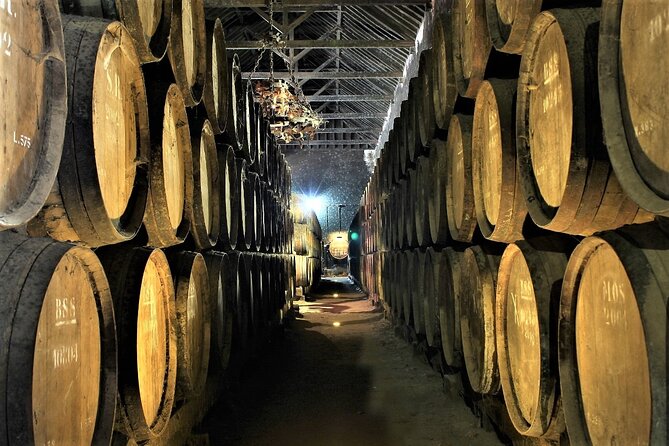 Private Wine Tasting Tour to the Setubal Wine Region From Lisbon - Inclusions and Amenities