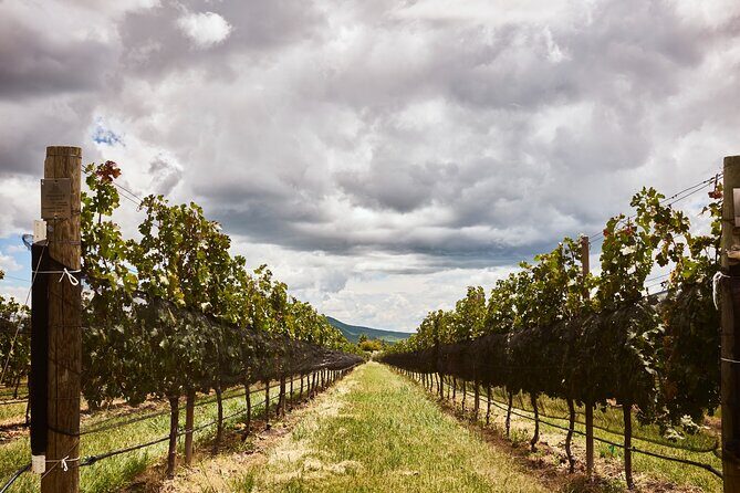 Private wine tasting & wine pairing tours - Key Points