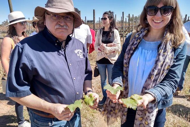 Private wine tasting & wine pairing tours - Additional Practical Details