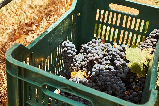 Private wine tasting & wine pairing tours - Frequently Asked Questions