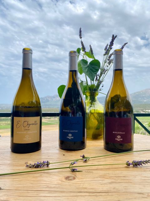 Private Wine Tastings Around Calvi & Île-Rousse - Key Points