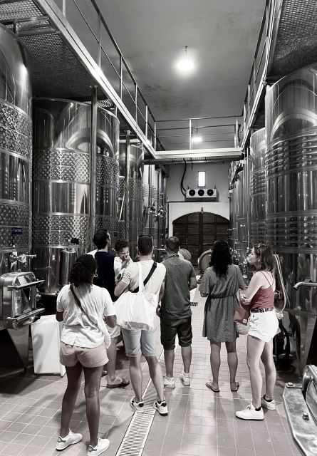 Private Wine Tastings Around Calvi & Île-Rousse - Highlights of the Vineyard Exploration