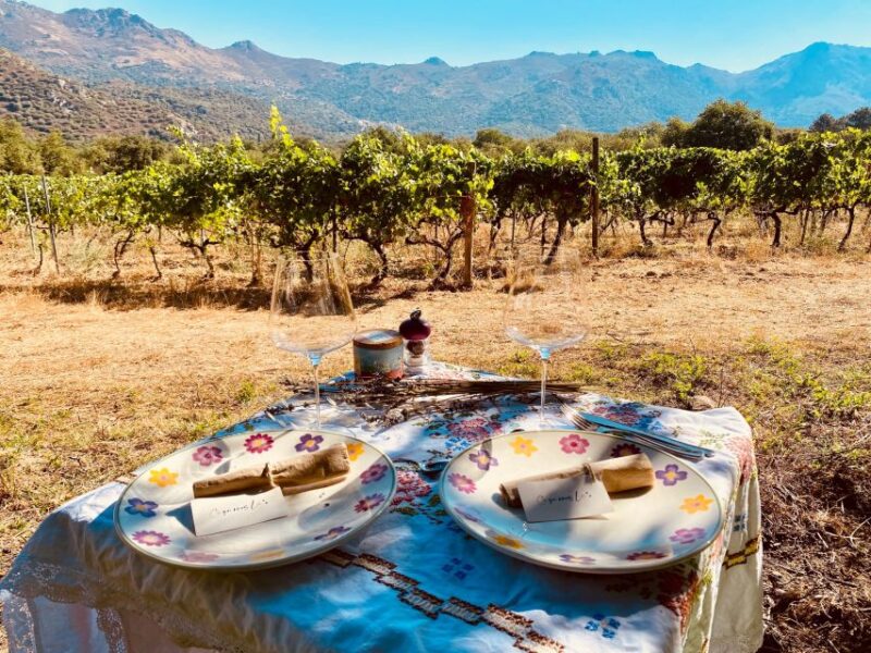 Private Wine Tastings Around Calvi & Île-Rousse - Insights Into Corsican Winemaking History