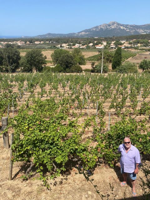 Private Wine Tour Around Ile Rousse & Calvi With Transport - Key Points