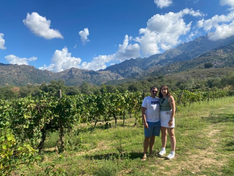 Private Wine Tour Around Ile Rousse & Calvi With Transport - Cellar Tour and Vineyard Walk