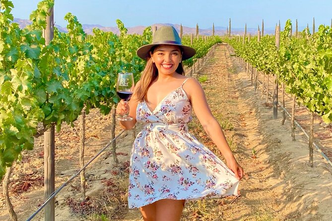 Private Wine Tour at Valle De Guadalupe (A Wine Tasting Included). - Participation Guidelines