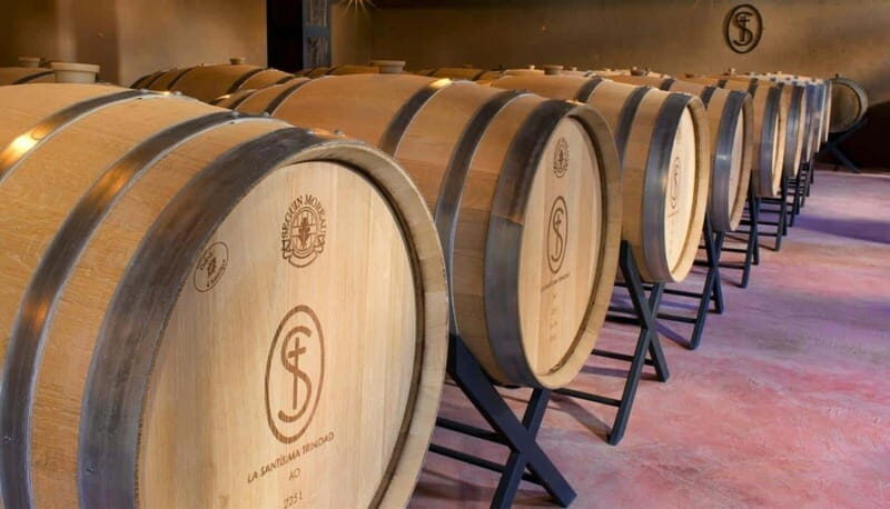 Private Wine Tour from Guanajuato City - Who Should Consider This Tour?