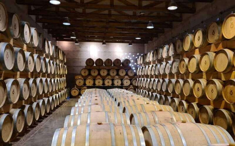 Private Wine Tour from Guanajuato City - Final Thoughts