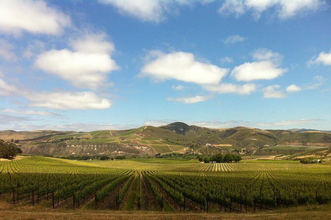 Private Wine Tour from the Santa Ynez Valley - Exploring the Santa Ynez Wine Region in Style