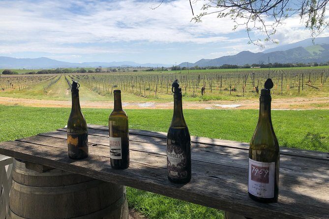 Private Wine Tour from the Santa Ynez Valley - The Wineries and Tastings: What to Expect