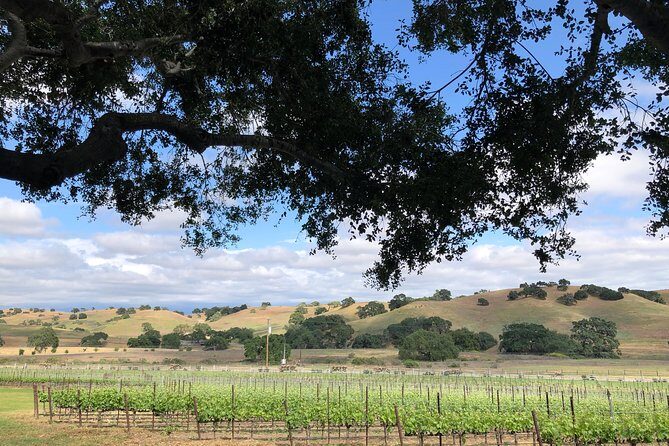 Private Wine Tour from the Santa Ynez Valley - What Past Travelers Say