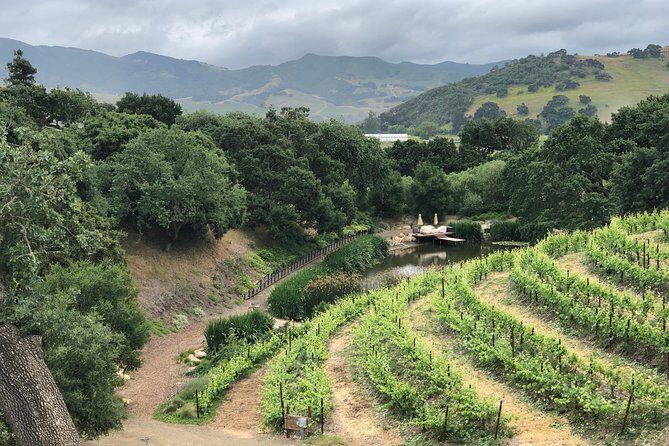 Private Wine Tour from the Santa Ynez Valley - Practical Tips for Your Tour