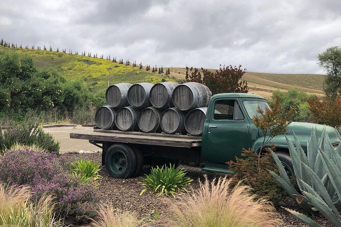 Private Wine Tour from the Santa Ynez Valley - Who Should Consider This Tour?