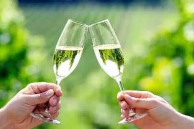 Private Wine Tour in Hunter Valley Pokolbin - Key Points