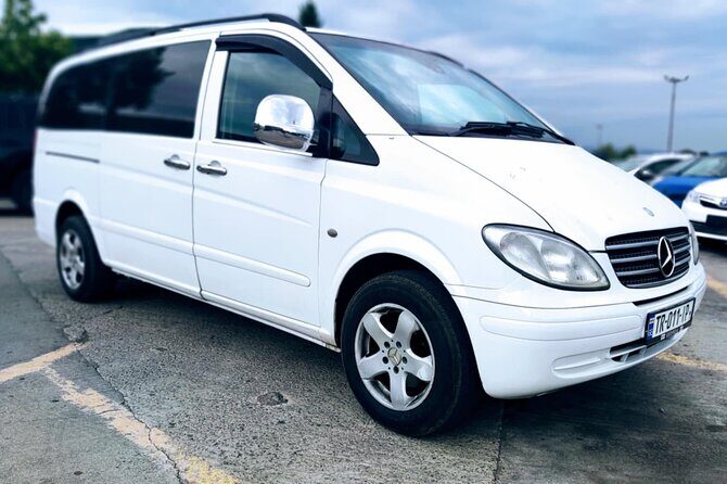 Private Wine Tour In Kakheti Region with 7 Wines and Lunch - Authentic Georgian Wine Experience in Kakheti: A Practical Review