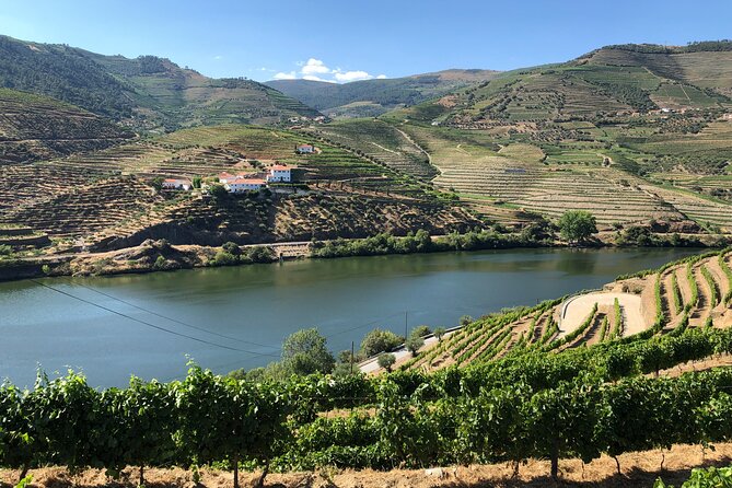 Private Wine Tour in the Douro Valley - Private Wine Tastings and Lunch Included - Inclusions of the Tour