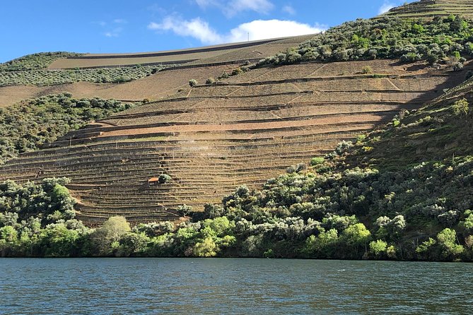 Private Wine Tour in the Douro Valley - Private Wine Tastings and Lunch Included - Exclusions of the Tour