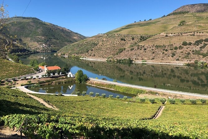 Private Wine Tour in the Douro Valley - Private Wine Tastings and Lunch Included - Meeting and Pickup Details