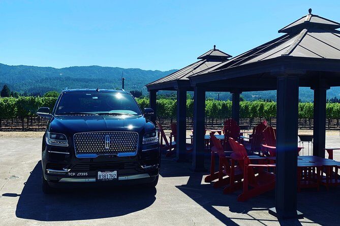 Private Wine Tour Napa or Sonoma 6 hours up to 6 people - Who Will Love This Tour?