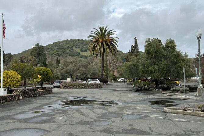 Private Wine Tour of Napa and Sonoma - Detailed Review