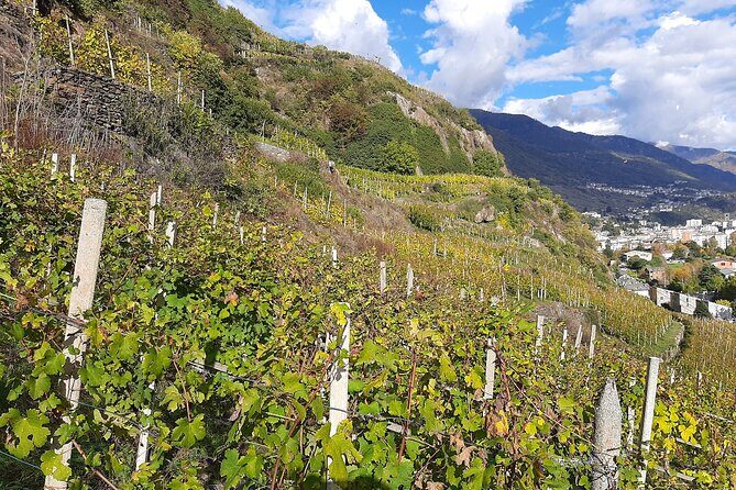 Private Wine Tour: Terraced Vineyards with Alpine view from Milan - Exploring Milan’s Scenic Day Trip: Valtellina’s Terraced Vineyards