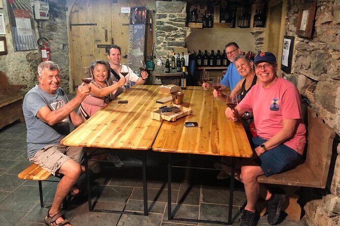 Private Wine Tour: Terraced Vineyards with Alpine view from Milan - Final Thoughts: Who Is This Tour Best For?