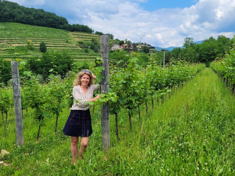 Private Wine Tour to Bordeaux - 2 Days - From Paris - Itinerary Highlights