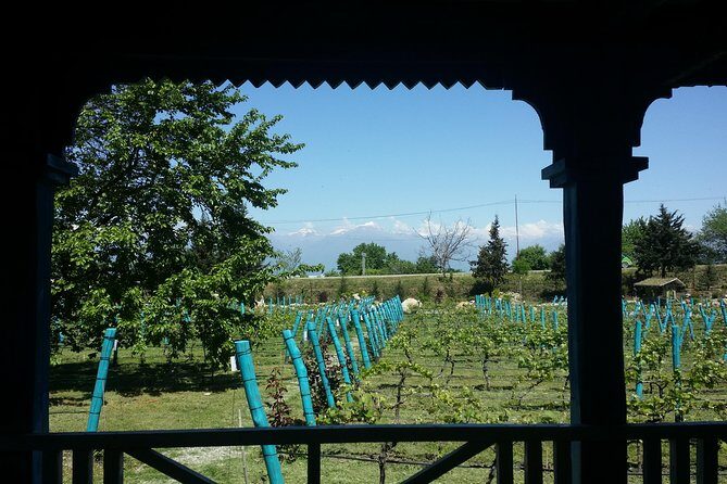 Private Wine Tour to Kakheti from Tbilisi - Practical Details: What You Can Expect