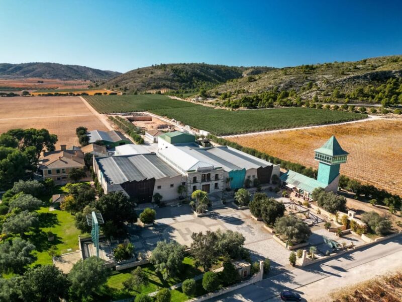 Private Wine Tour to the Costa Blanca Wineries - Exclusive Hidden Wineries