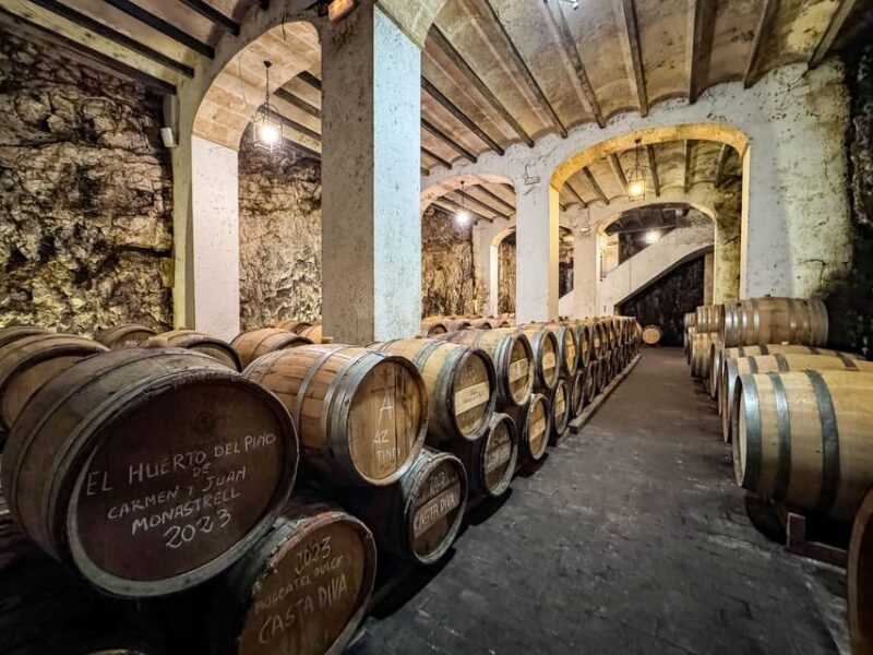 Private Wine Tour to the Costa Blanca Wineries - Alicantes Wine Heritage
