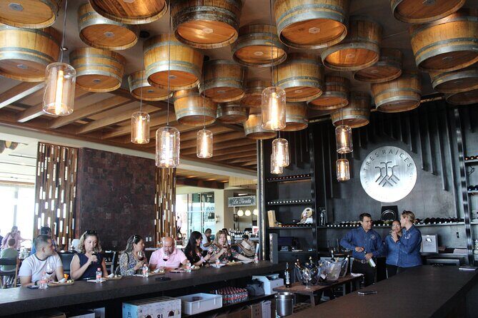 Private Wine Tour, Winemaker for a Day, Wine Pairing and Tasting - A Closer Look at the Experience