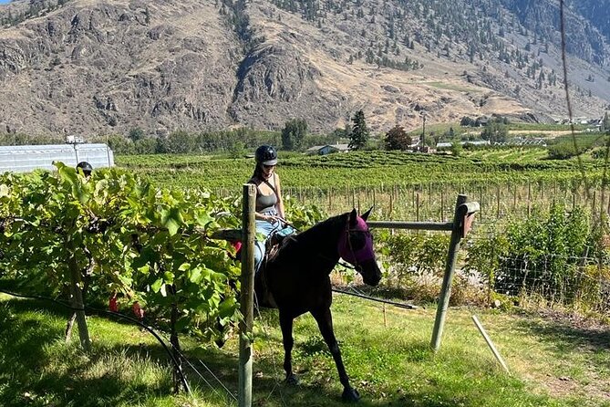 Private Wine Tour With Horseback Riding and Lunch - Tour Details