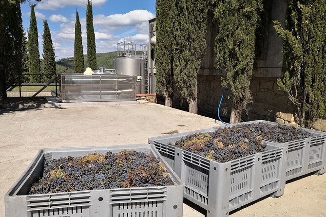 PRIVATE WINE TOURS VIP Wines and Wineries of Chianti Classico - Wine Selection and Tastings