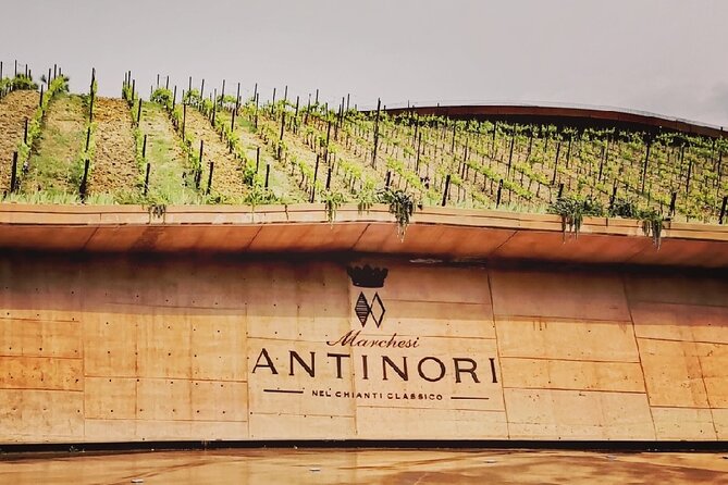 PRIVATE WINE TOURS VIP Wines and Wineries of Chianti Classico - Dining Experience