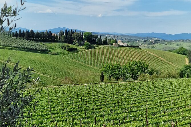 PRIVATE WINE TOURS VIP Wines and Wineries of Chianti Classico - Pickup Options and Accessibility