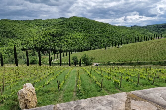 PRIVATE WINE TOURS VIP Wines and Wineries of Chianti Classico - Booking Process and Policies