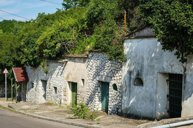 Private Winetasting and Sightseeing Tour to Eger, Home to Bulls Blood Wine! - Explore the Historic Eger Castle