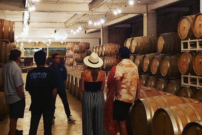 PRIVATE WINETASTING TOUR (Transportation,custom schedule) - Exploring a Private Wine Tour in Guadalupe Valley: An Honest Look
