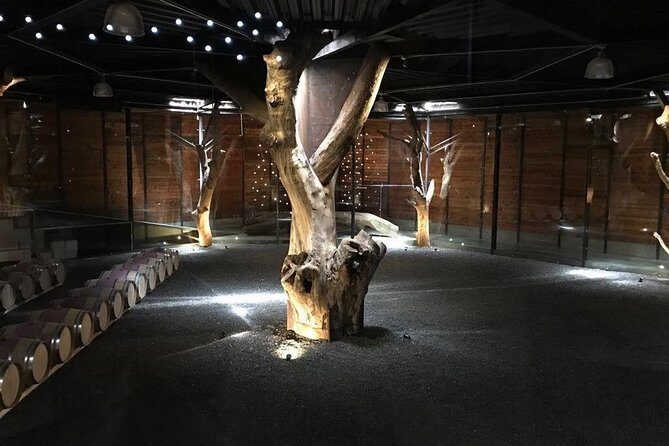 PRIVATE WINETASTING TOUR (Transportation,custom schedule) - Final Thoughts: Who Is This Tour Best For?