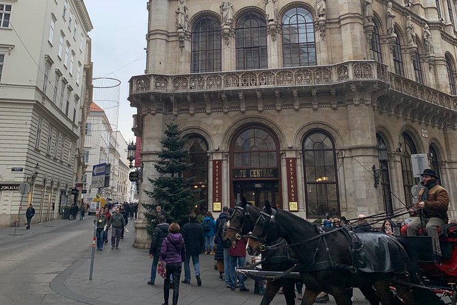 Private World War II Walking Tour in Vienna - Accessibility and Additional Info