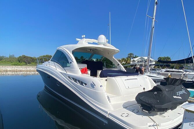 Private Yacht 48 ft Sting Ray City, Snorkel & Starfish Beach - Pricing and Value
