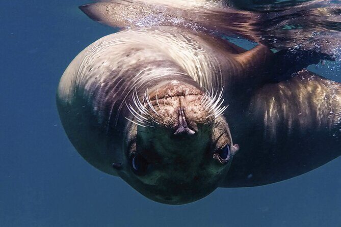 Private Yacht Charter in Cabo San Lucas - What Travelers Say and What You Should Know