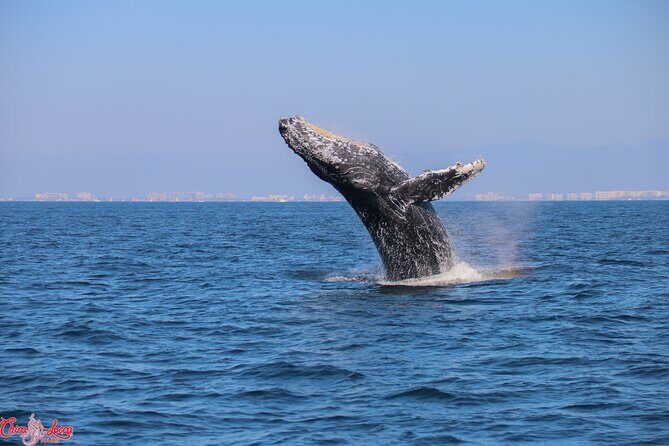 Private Yacht Charter on ChicaFun 1 Waterslides all inclusive - FAQ