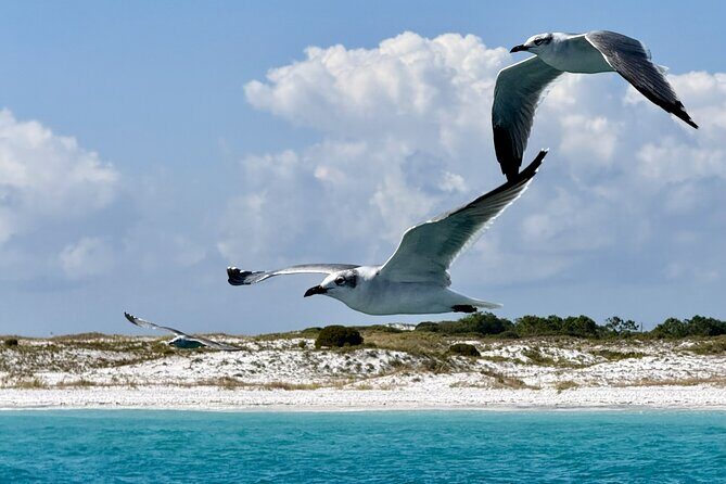 Private Yacht Charter on The Whiskey from Sandestin - Who Will Love This Experience?